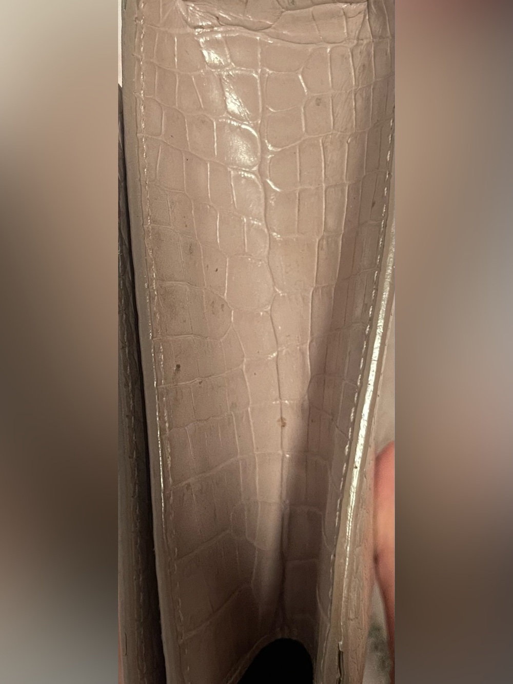 Saint Laurent Nude Croc-Embossed Crossbody Bag - Picture 14 of 15